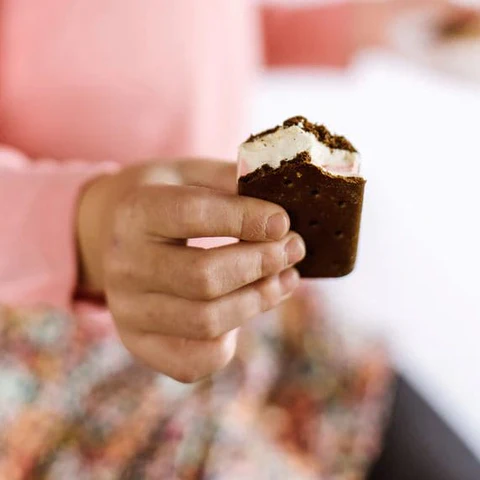 冰琪淋6 冻干食品