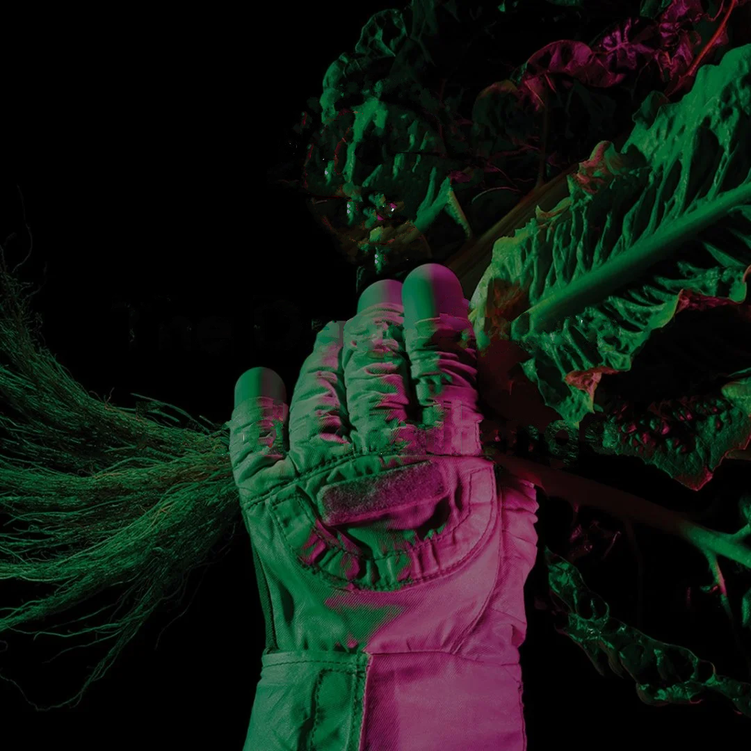 Submax 太空级食品 联系客服