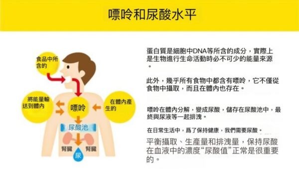 明治 PA-3 抗尿酸乳酸菌酸奶饮料｜低糖低脂，适合痛风及关注尿酸人群