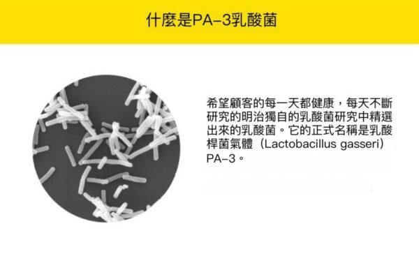 明治 PA-3 抗尿酸乳酸菌酸奶饮料｜低糖低脂，适合痛风及关注尿酸人群