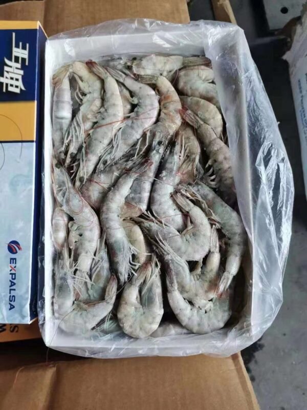 南美白虾 | 厄瓜多尔盐冻虾 · 1.5kg*6盒 | Submax 冷链直供