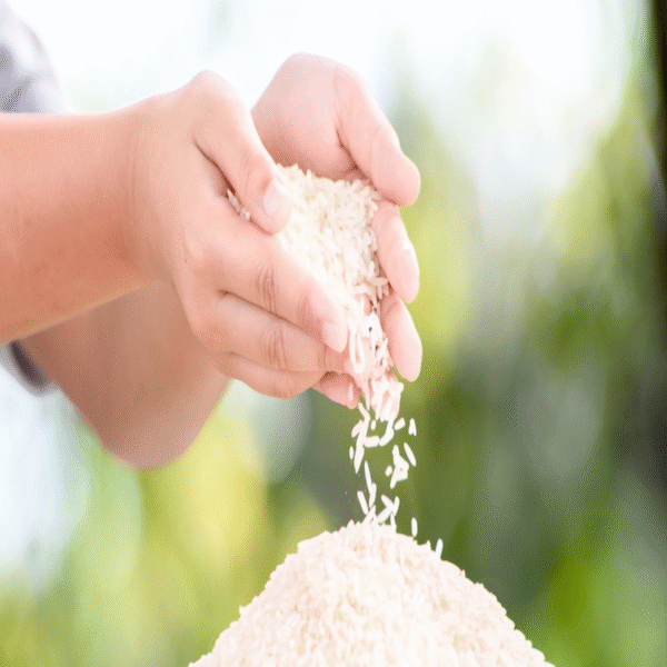 泰国香米 2.5kg/5kg 原装进口 长粒香米 主食优选